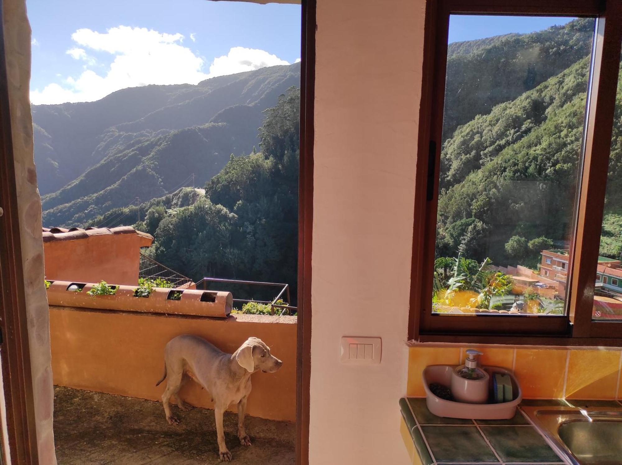 Casa Las Montanas De Anaga ลาลากูนา ภายนอก รูปภาพ
